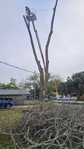 309982 arbor plex tree service