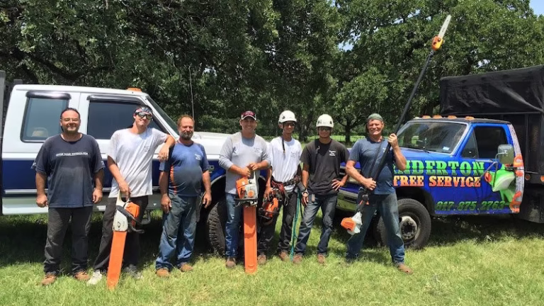 310014 anderton tree service 768x432