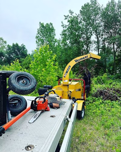 310082 columbus tree company llc