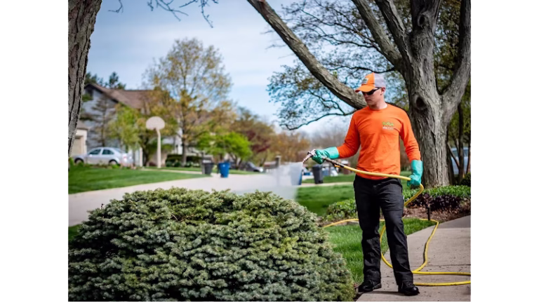 310109 ahlum arbor tree preservation 768x432
