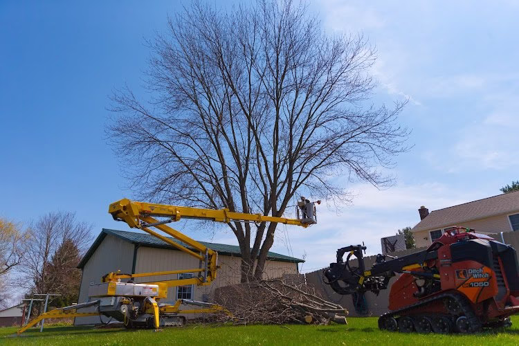 310133 westerville tree service