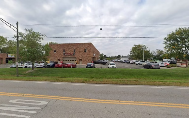 310138 stephensons tree service 768x480