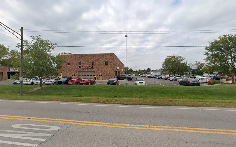 310138 stephensons tree service