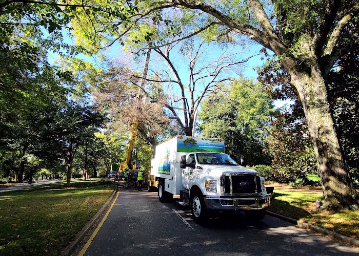 310160 schneider tree care