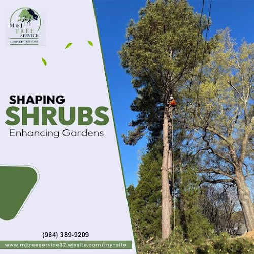 310176 mj tree service llc