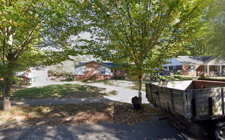 310194 bridges tree experts 768x480