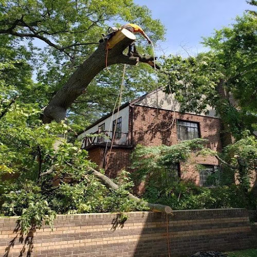 310210 as tree service corp