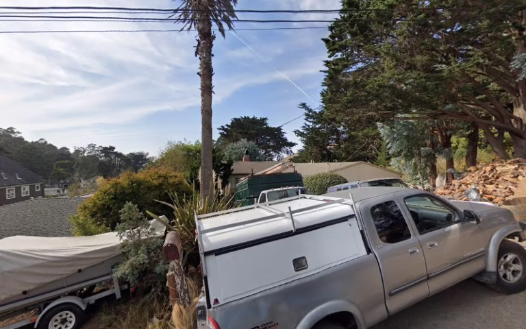 310266 evergreen tree service 768x480