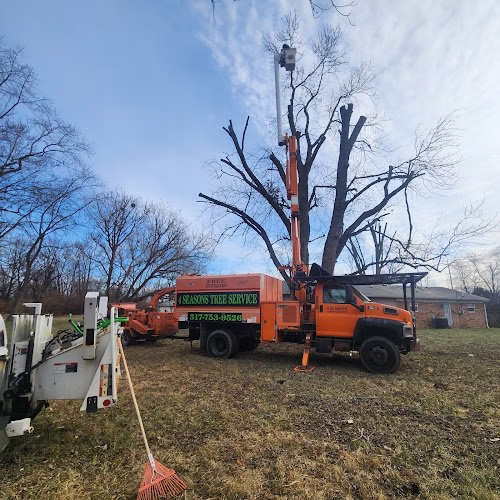 310319 4 seasons tree service llc