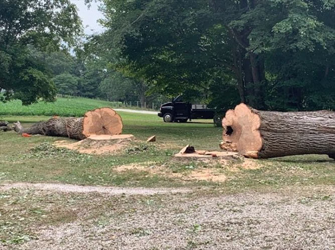 310355 d s tree service llc of mooresville greencastle