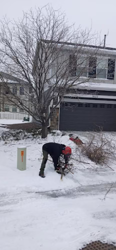 310435 colorado land tree llc