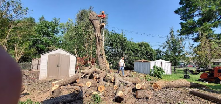 310469 je lawn landscaping llc 768x364