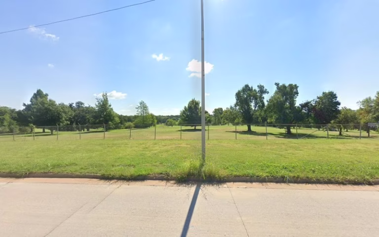 310494 accustomed tree spade 1 768x480