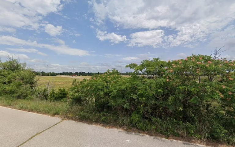 310499 davids tree debris removal 768x480