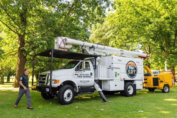 310703 silent rock tree service