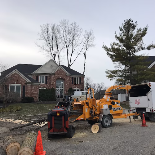 310763 timber beast tree service