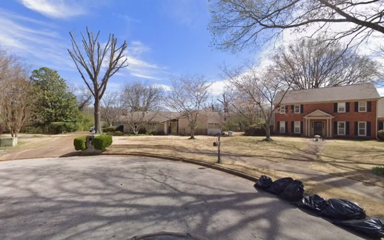 310855 w a thompson tree crane services 1 768x480