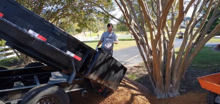 310870 stumpty dumpty stump removal 768x364