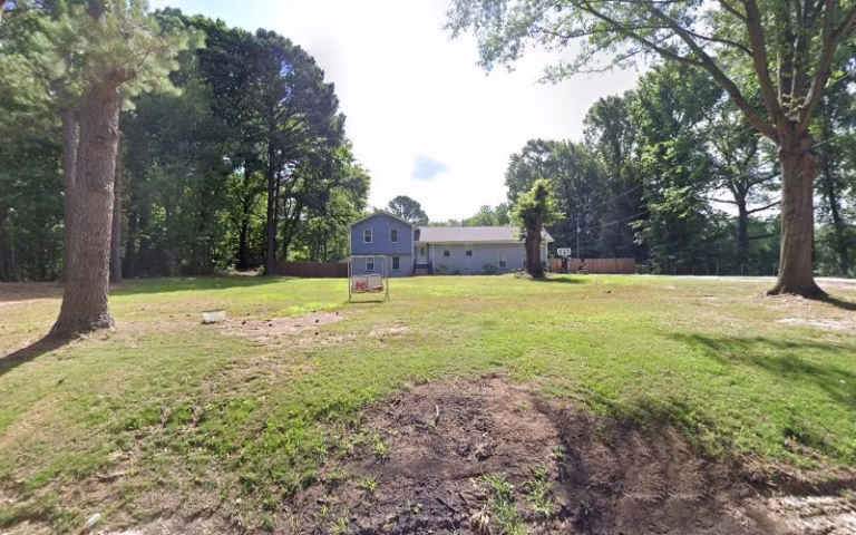 310878 jrs stump grinding 1 768x480