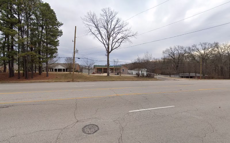 310881 absolute tree service 1