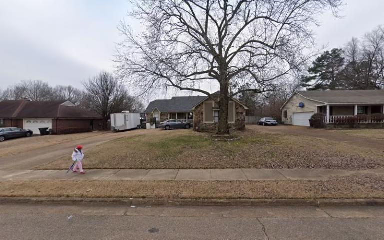 310896 a 1 lawn tree 768x480