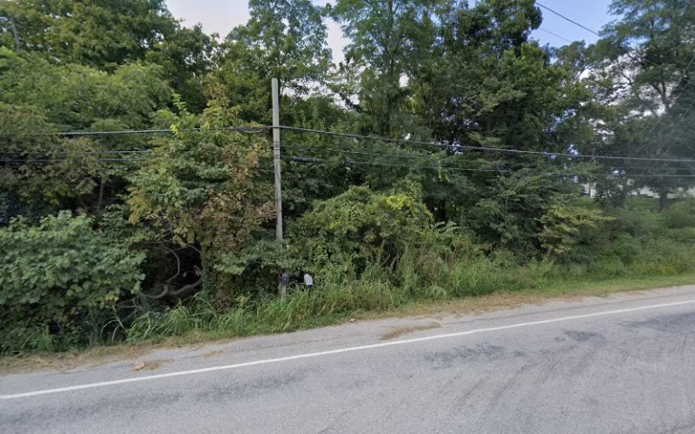 310945 treez service llc 1 768x480