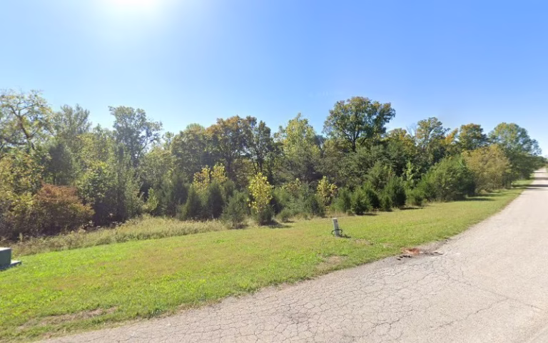 310950 the blankenship tree service 1 768x480