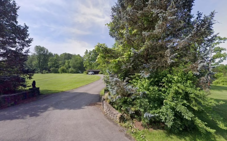 310954 rapsons tree service inc 768x480