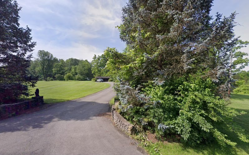 310954 rapsons tree service inc