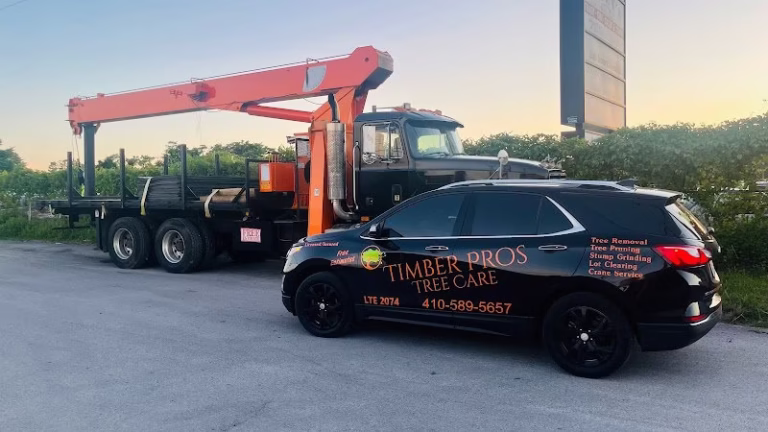 310976 timber pros tree care llc 768x432
