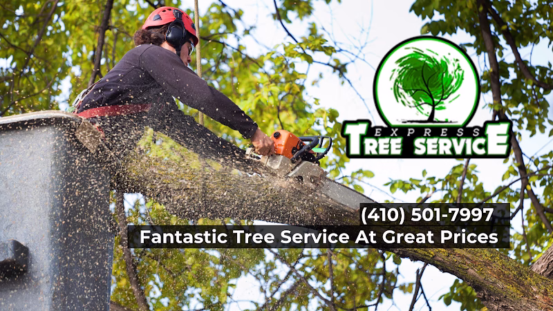 310984 express tree service llc