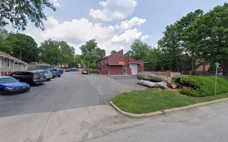 310998 a a tree experts 768x480