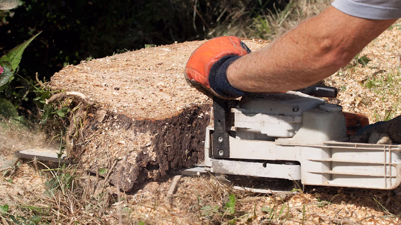 311005 hunts tree service llc