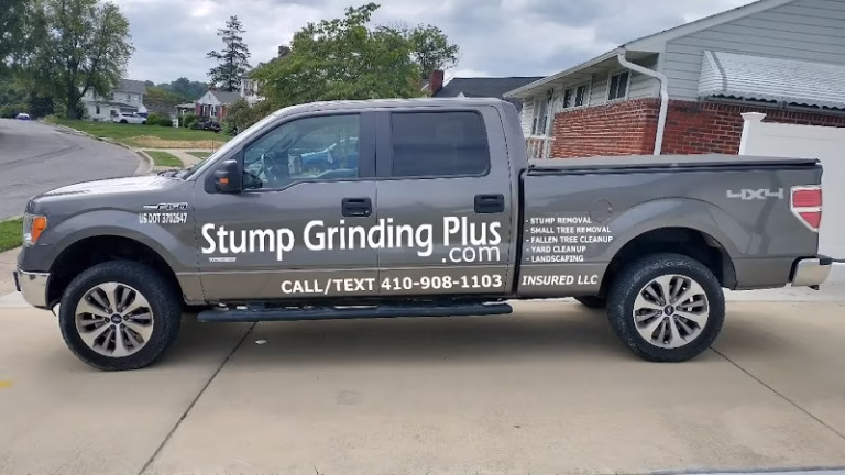 311010 stump grinding plus 768x432