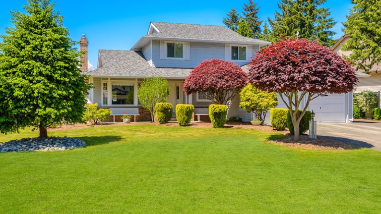 311020 reliable tree landscape 768x432