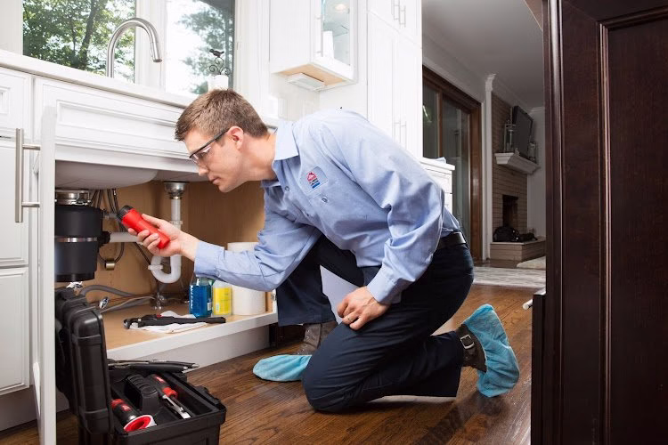 311259 reliance plumbing drain cleaning