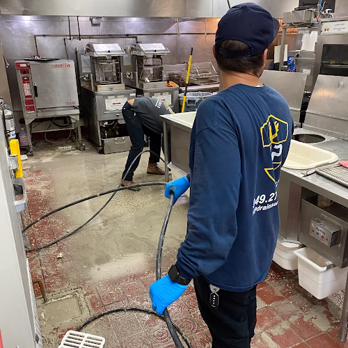 311353 vip sewer and drain services inc