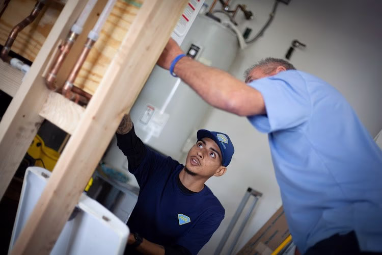 312194 rooter ranger 1