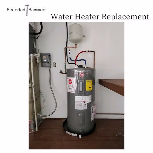 312845 bearded hammer