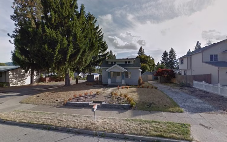 312961 able rooter 1 768x480