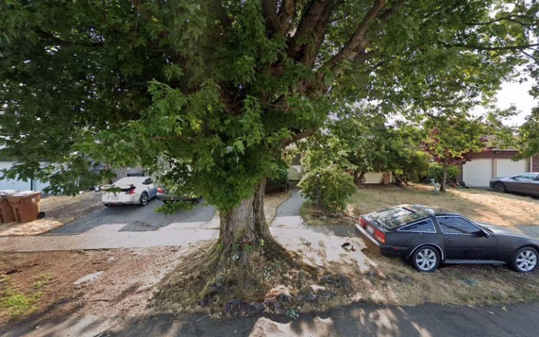 313154 d m plumbing backflow 768x480