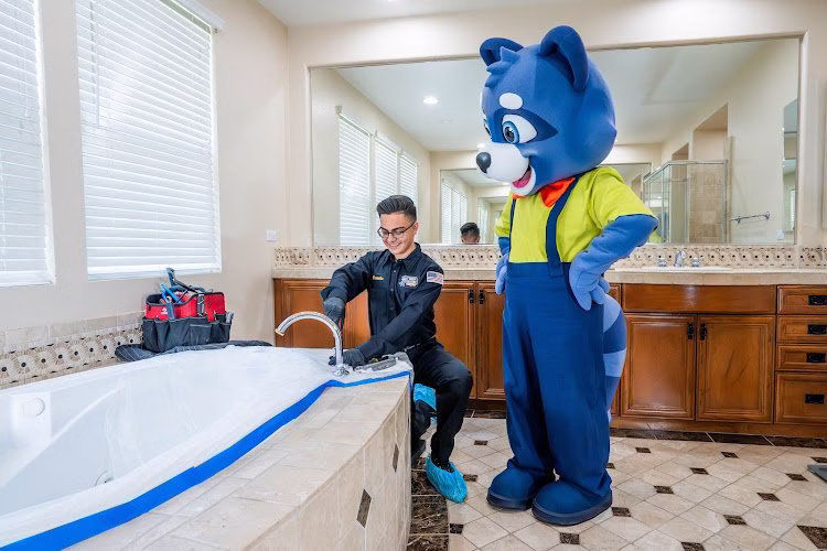 313282 rooter solutions plumbers