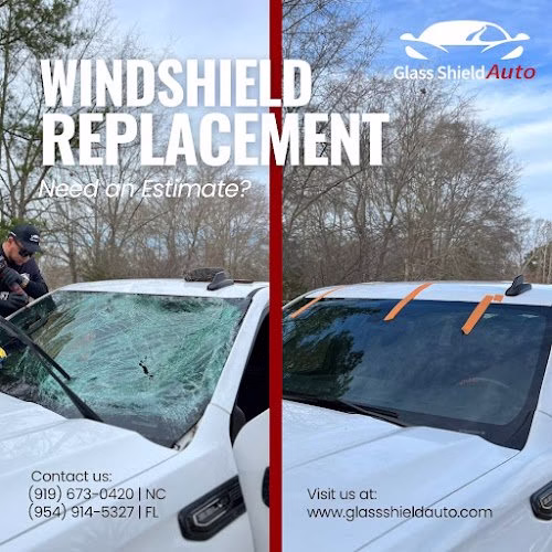 314820 glass shield auto