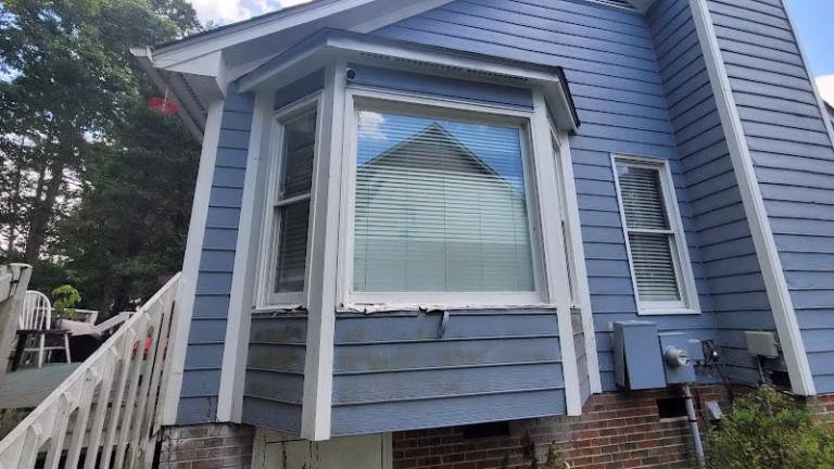 315064 dog day renovations 768x432