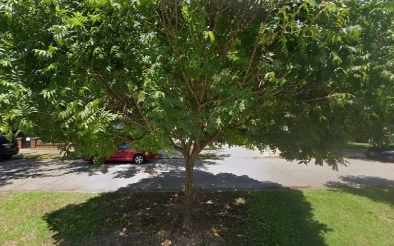 316508 hpg co consulting engineer 1 768x480