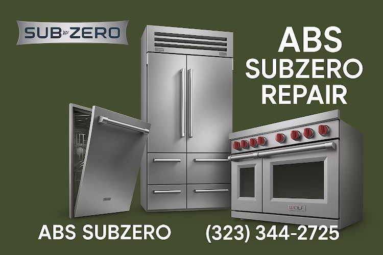 317064 abs appliance repair