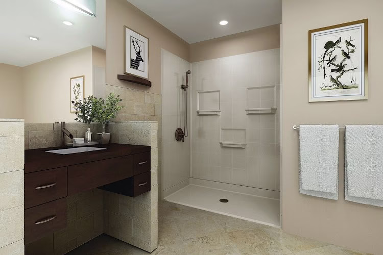 318185 aging safely walk in bathtubs denver walk in tubs handicap showers