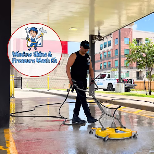319101 window shine pressure wash co
