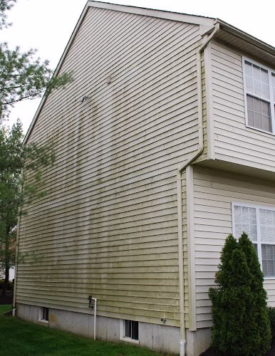 319236 pure clean power wash