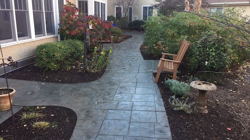 319269 new look pressure washing services llc